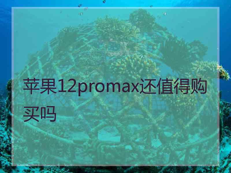 苹果12promax还值得购买吗