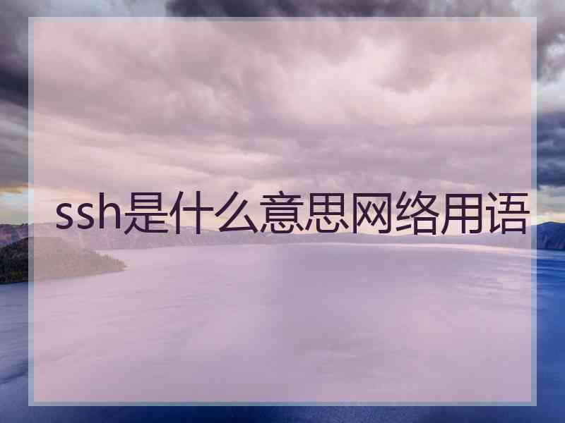 ssh是什么意思网络用语