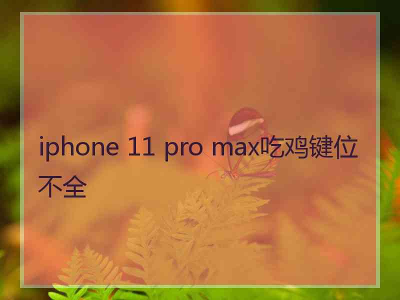 iphone 11 pro max吃鸡键位不全