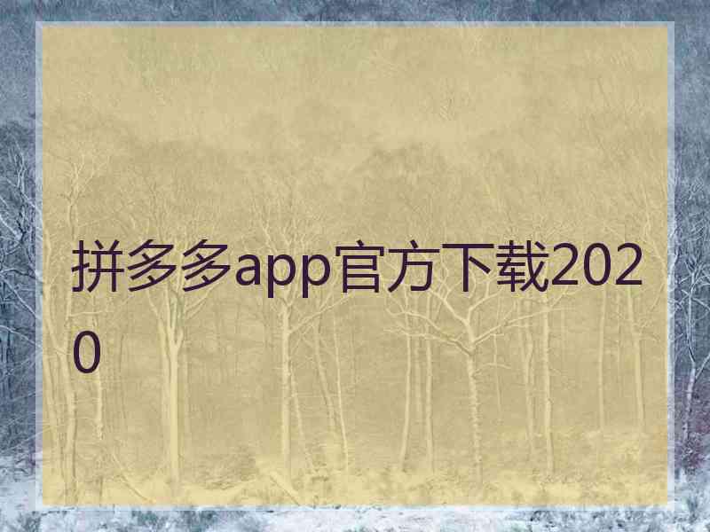 拼多多app官方下载2020