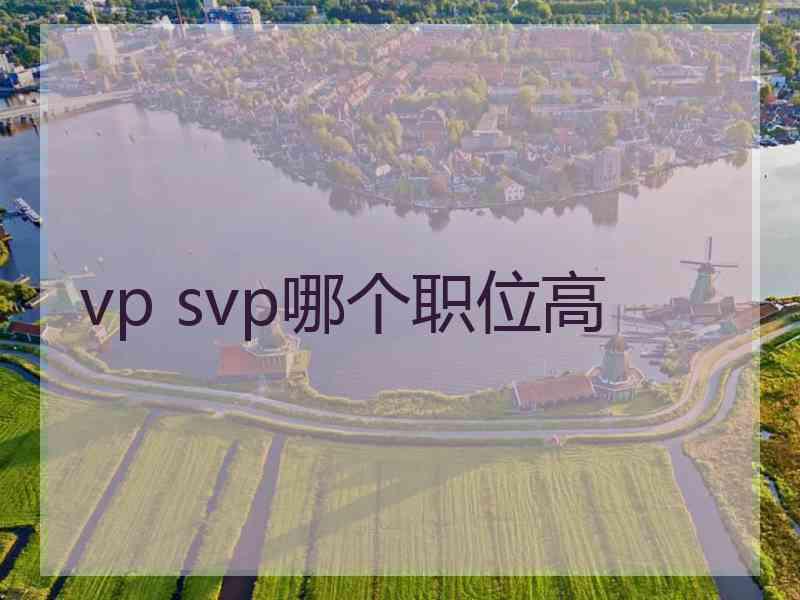 vp svp哪个职位高