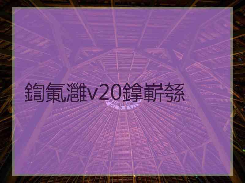 鍧氭灉v20鎿嶄綔