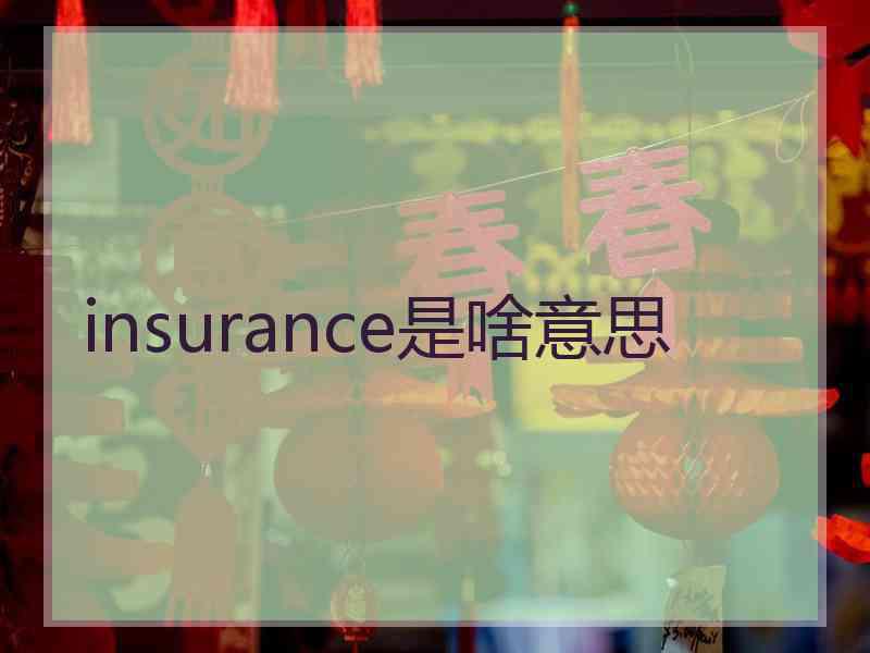 insurance是啥意思