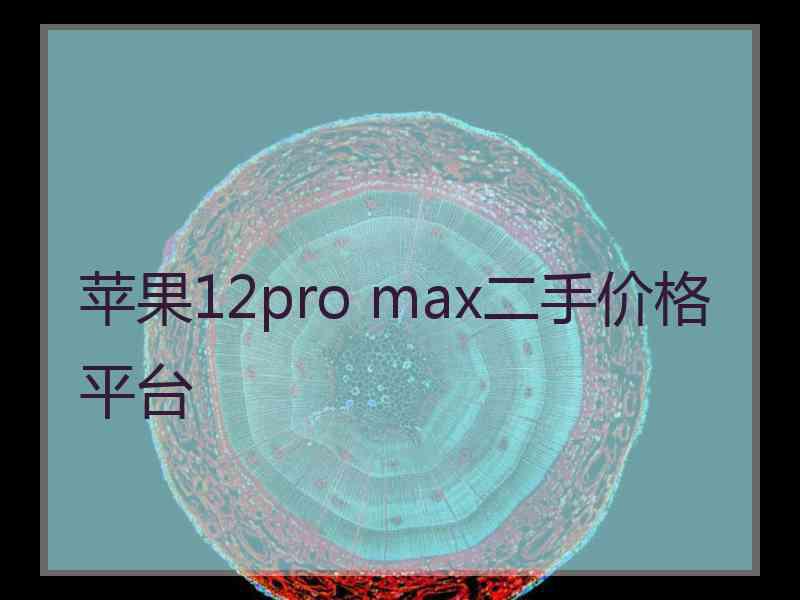 苹果12pro max二手价格平台