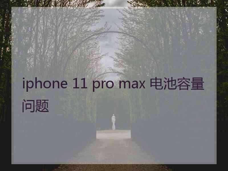 iphone 11 pro max 电池容量问题