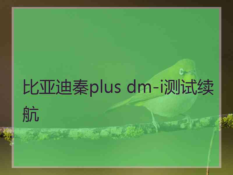 比亚迪秦plus dm-i测试续航