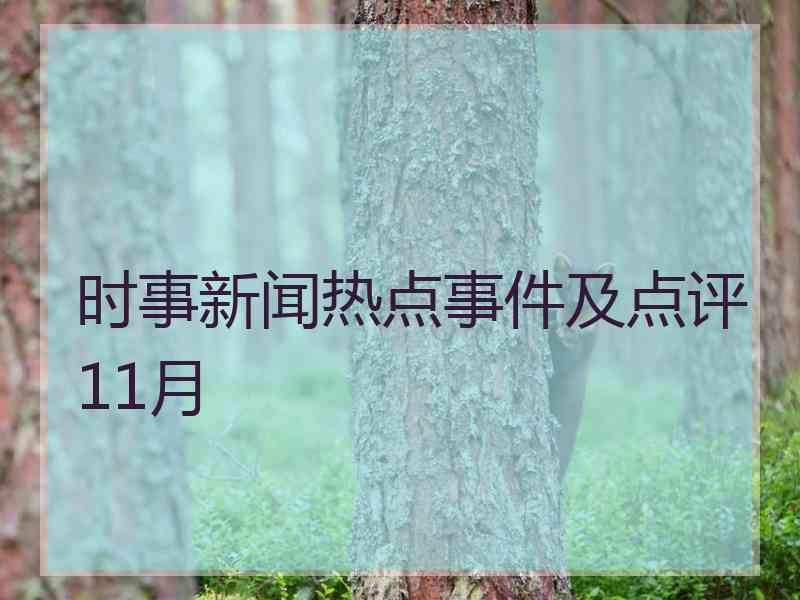 时事新闻热点事件及点评11月