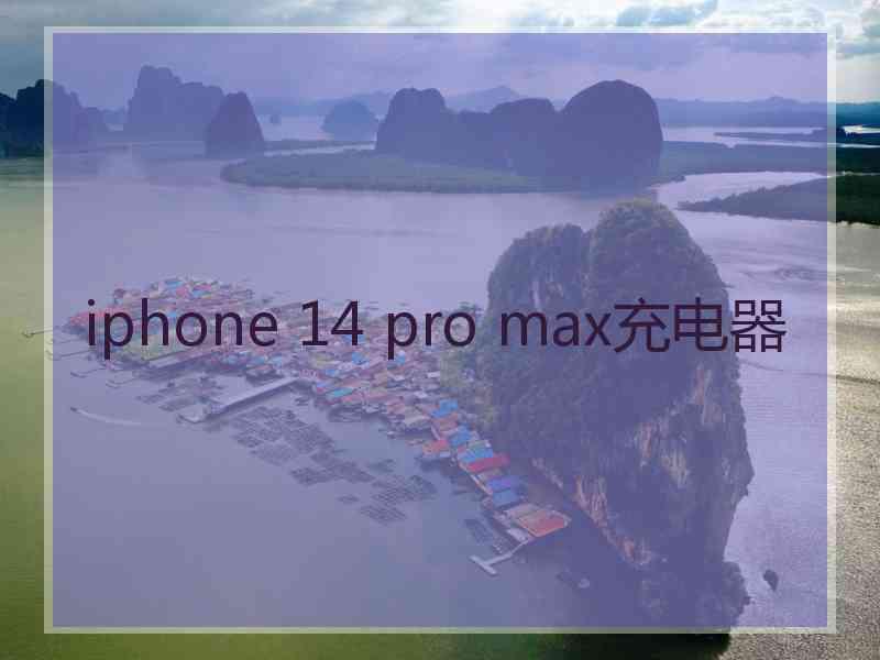 iphone 14 pro max充电器