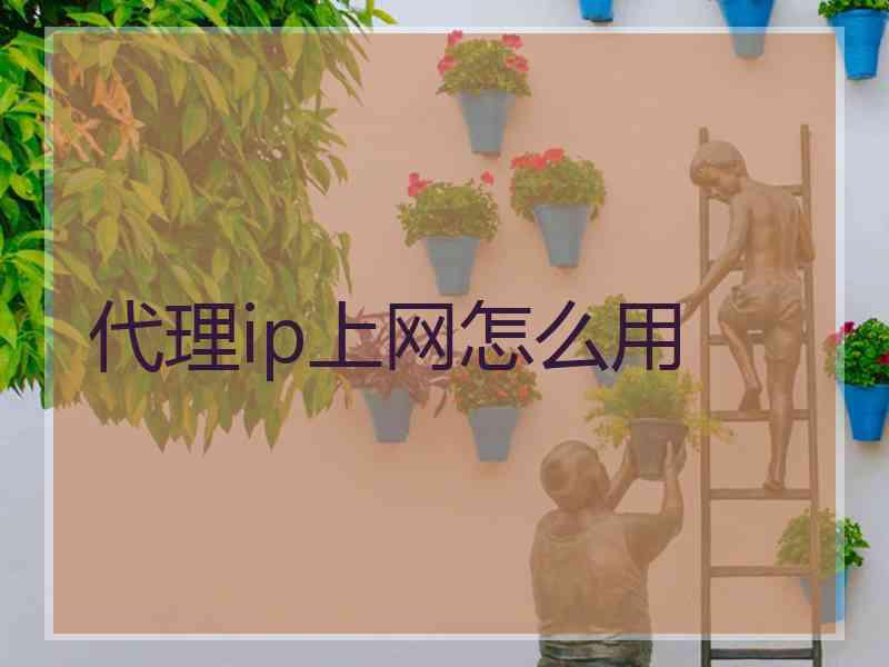 代理ip上网怎么用