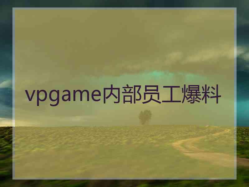 vpgame内部员工爆料