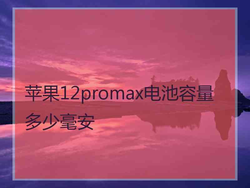 苹果12promax电池容量多少毫安