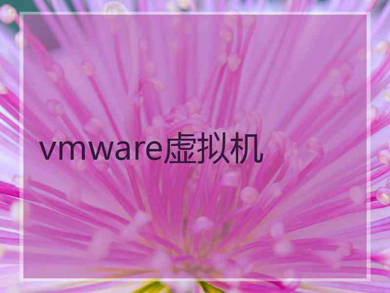 vmware虚拟机