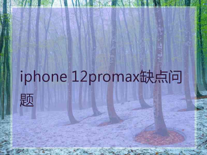 iphone 12promax缺点问题