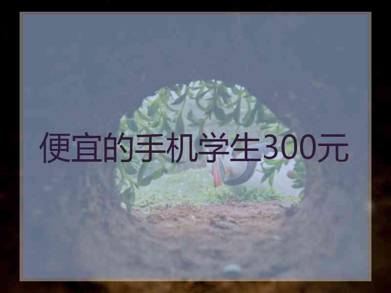 便宜的手机学生300元