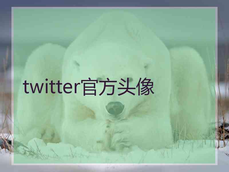 twitter官方头像