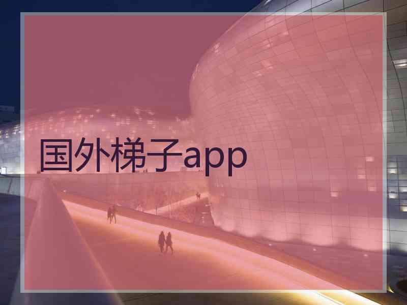 国外梯子app