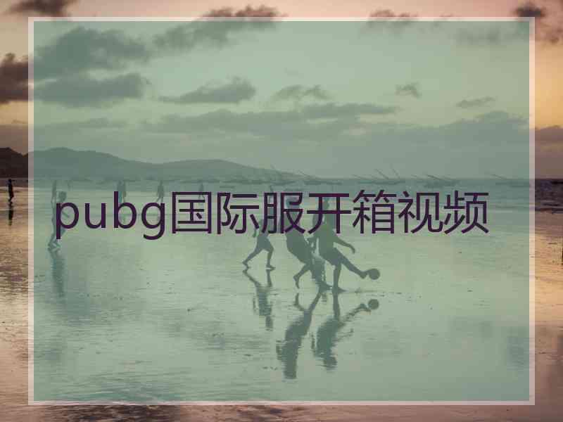 pubg国际服开箱视频