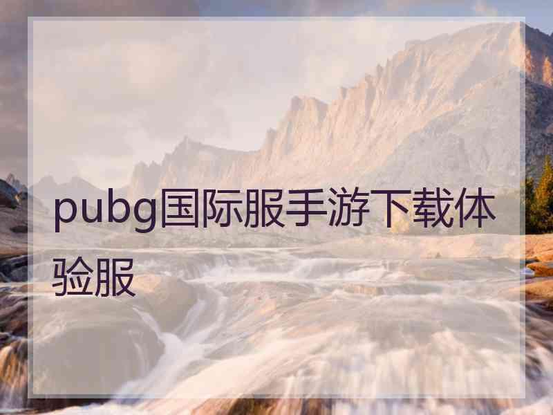 pubg国际服手游下载体验服