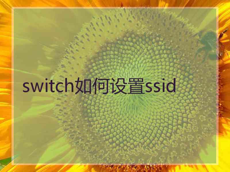 switch如何设置ssid