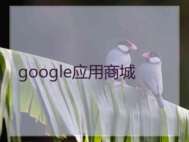 google应用商城