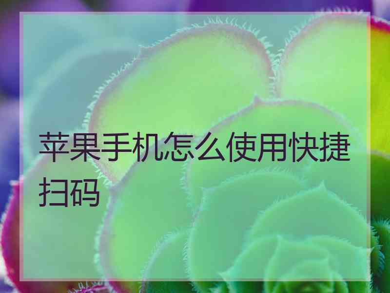 苹果手机怎么使用快捷扫码