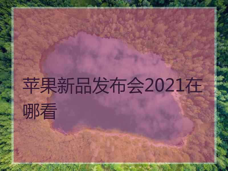 苹果新品发布会2021在哪看