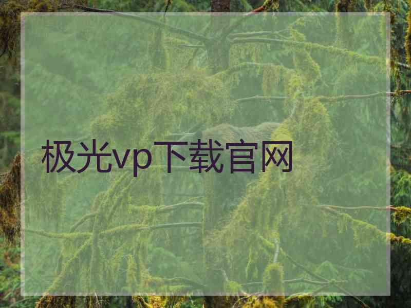 极光vp下载官网