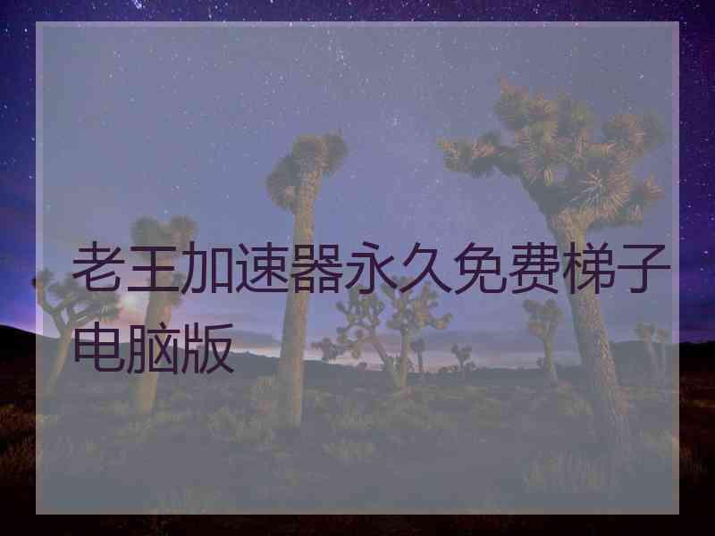 老王加速器永久免费梯子电脑版