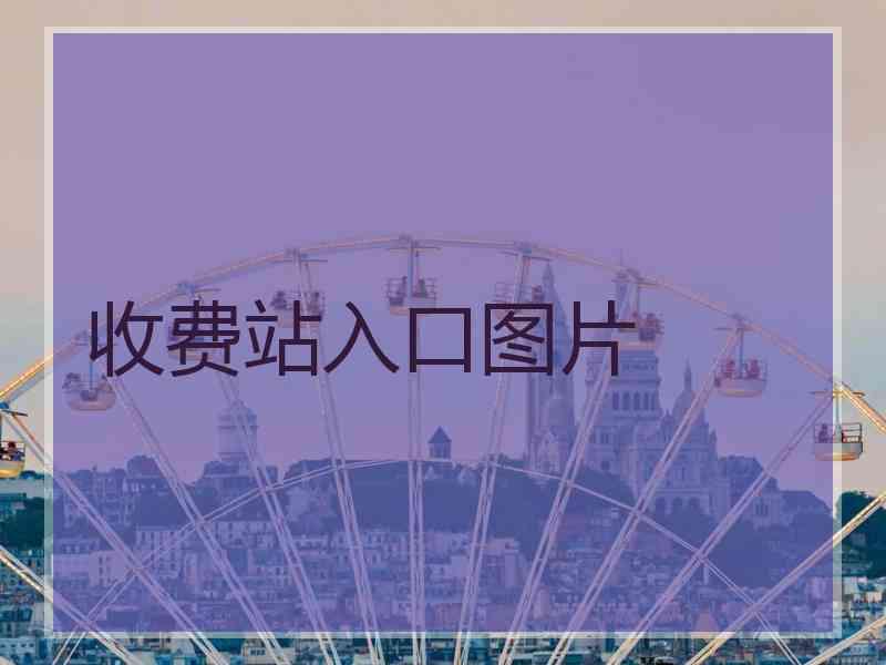 收费站入口图片