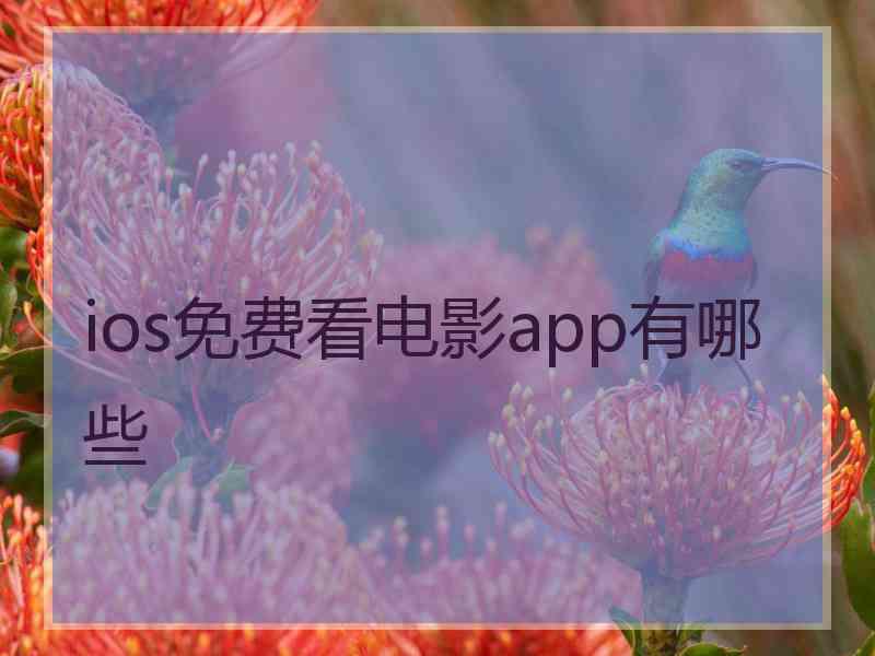 ios免费看电影app有哪些