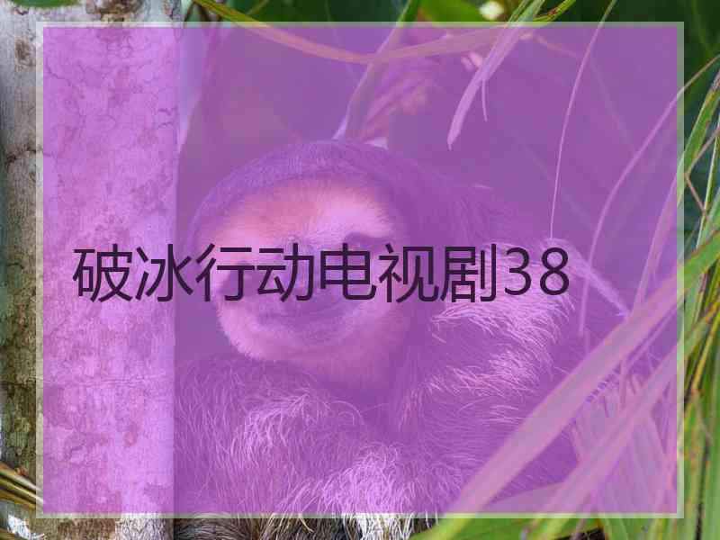 破冰行动电视剧38