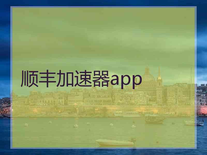 顺丰加速器app