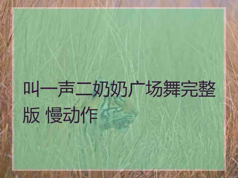 叫一声二奶奶广场舞完整版 慢动作