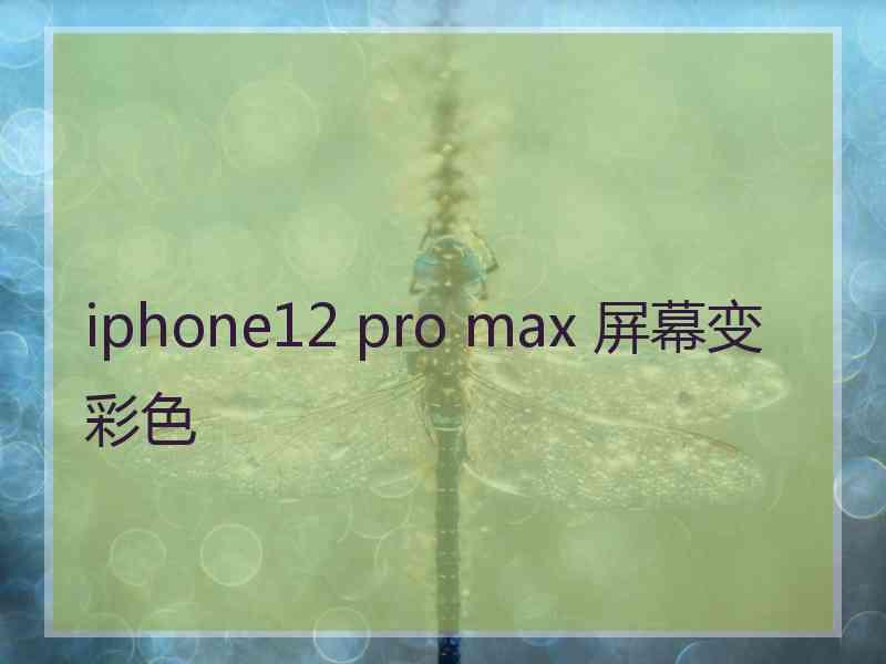 iphone12 pro max 屏幕变彩色