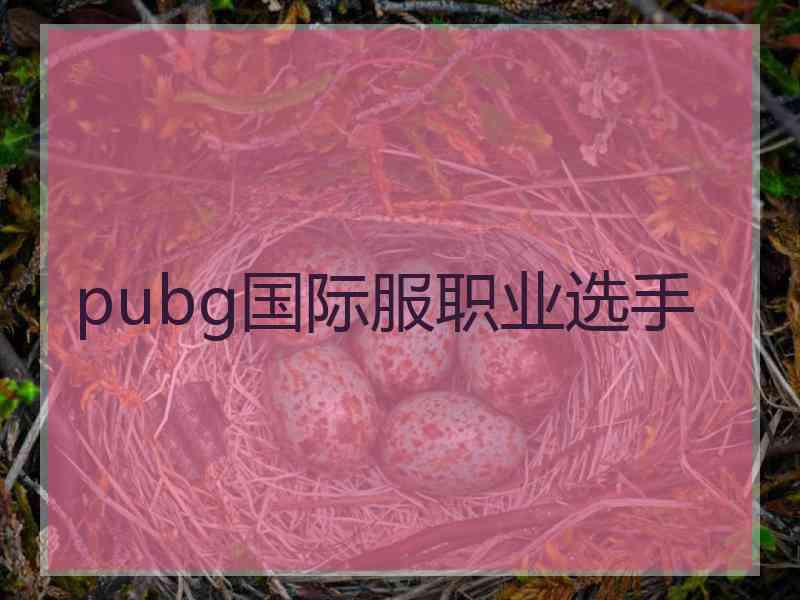 pubg国际服职业选手