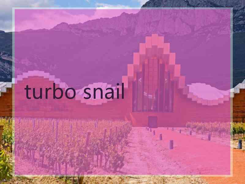 turbo snail