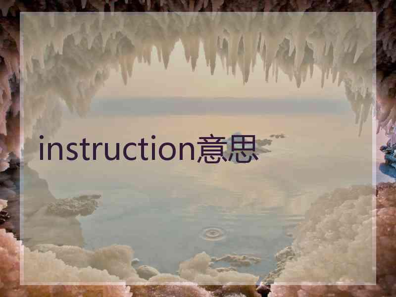 instruction意思