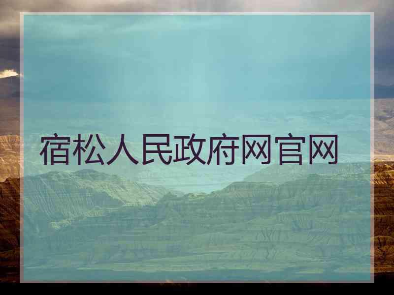 宿松人民政府网官网