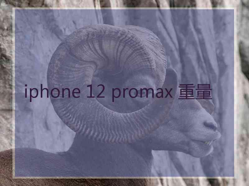 iphone 12 promax 重量