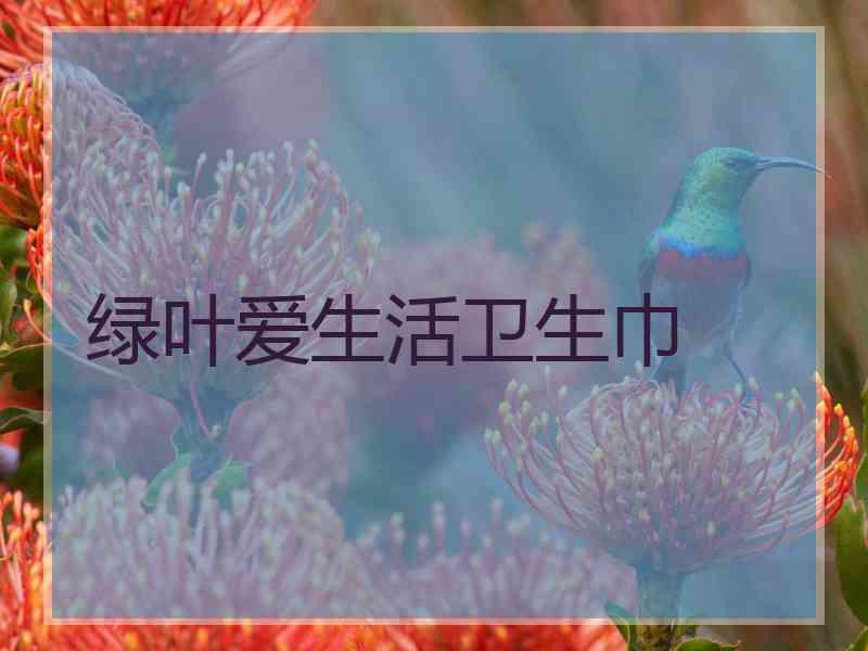 绿叶爱生活卫生巾