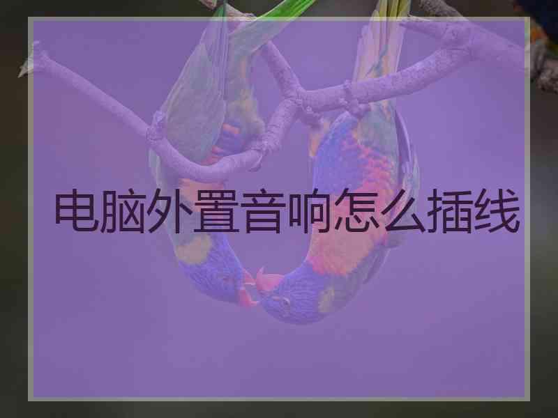 电脑外置音响怎么插线