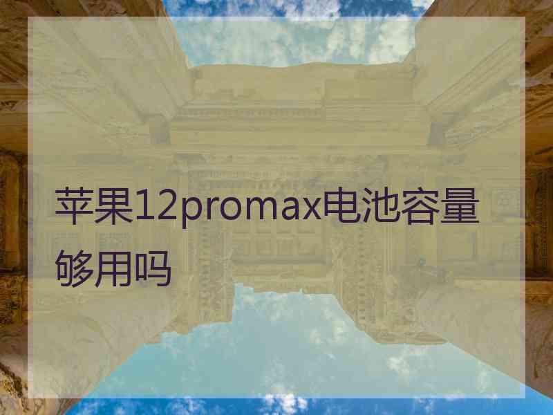 苹果12promax电池容量够用吗