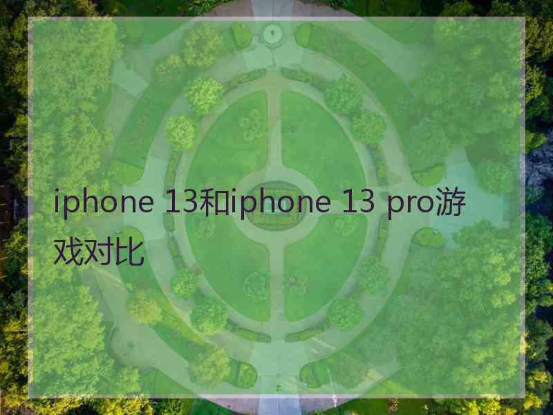 iphone 13和iphone 13 pro游戏对比