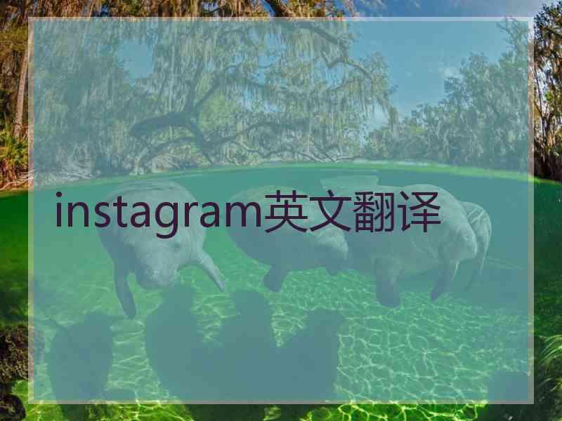 instagram英文翻译