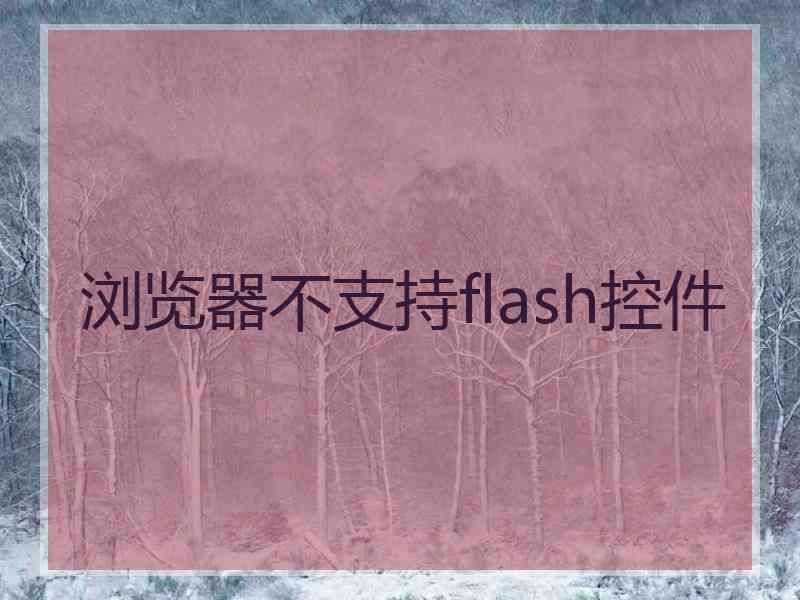 浏览器不支持flash控件