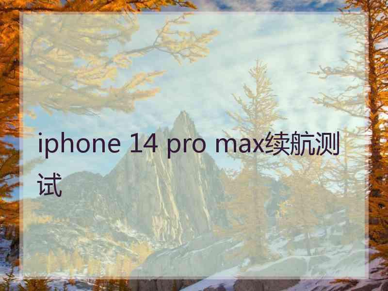 iphone 14 pro max续航测试