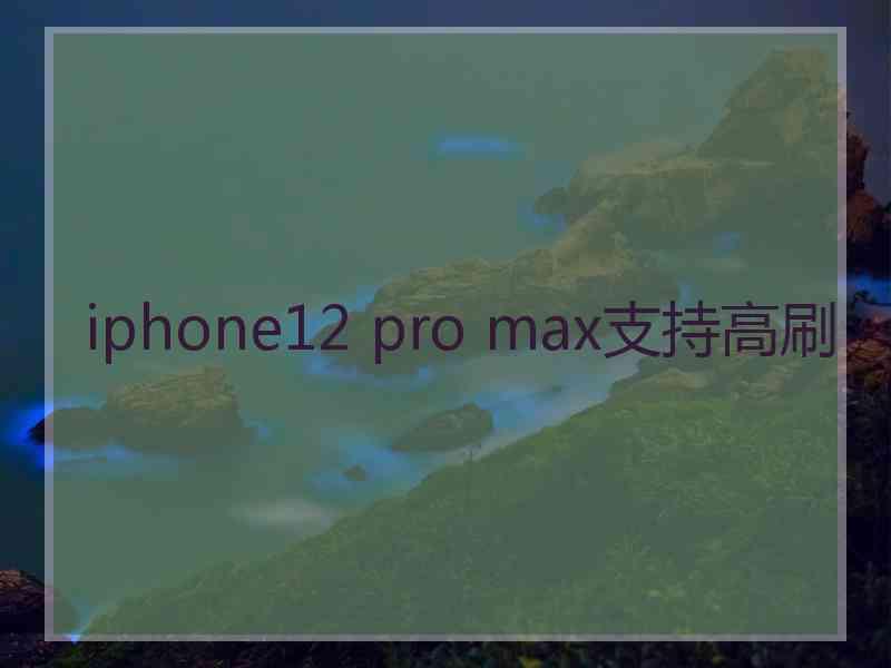 iphone12 pro max支持高刷