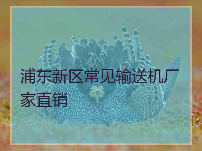 浦东新区常见输送机厂家直销