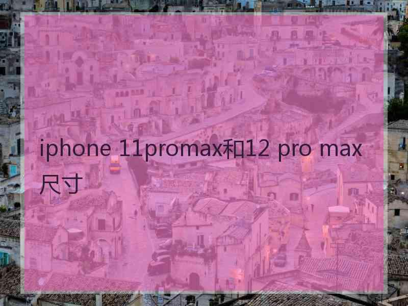 iphone 11promax和12 pro max尺寸