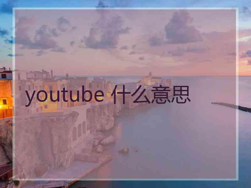 youtube 什么意思